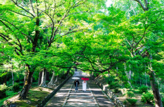 HERO group ヒーローグループ_【京都】毘沙門堂/神社仏閣