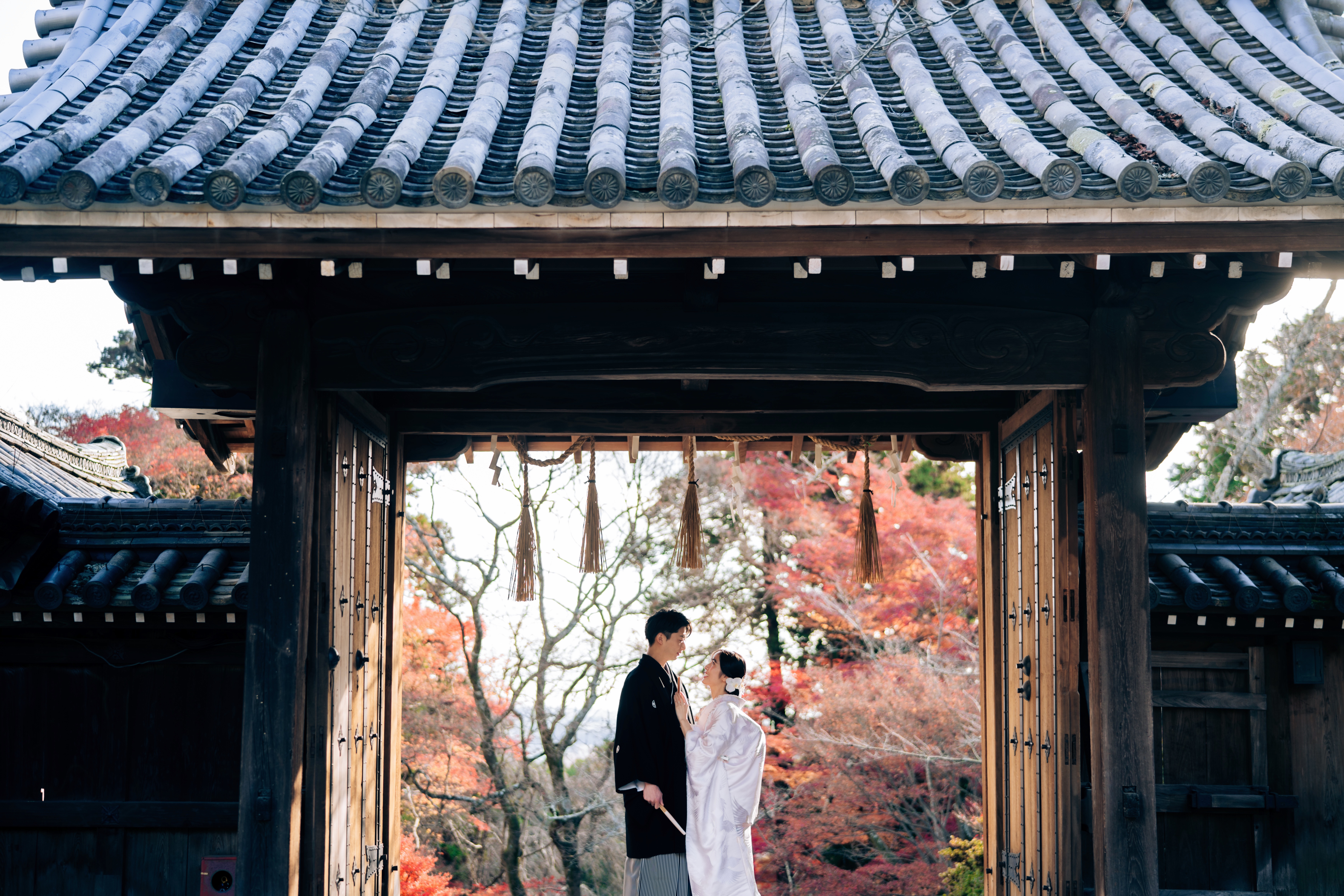 20以上ある撮影シーン