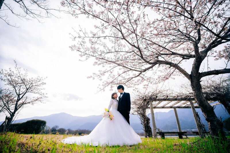 撮影スポット画像