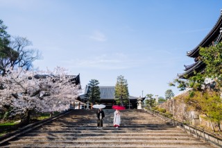 HERO group ヒーローグループ_【神社仏閣ロケーション】近海光明寺