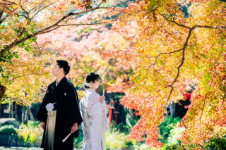 HERO group ヒーローグループ_【京都】大原野神社/神社仏閣
