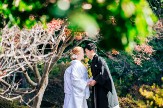 HERO group ヒーローグループ_【神社仏閣ロケーション】梅宮大社