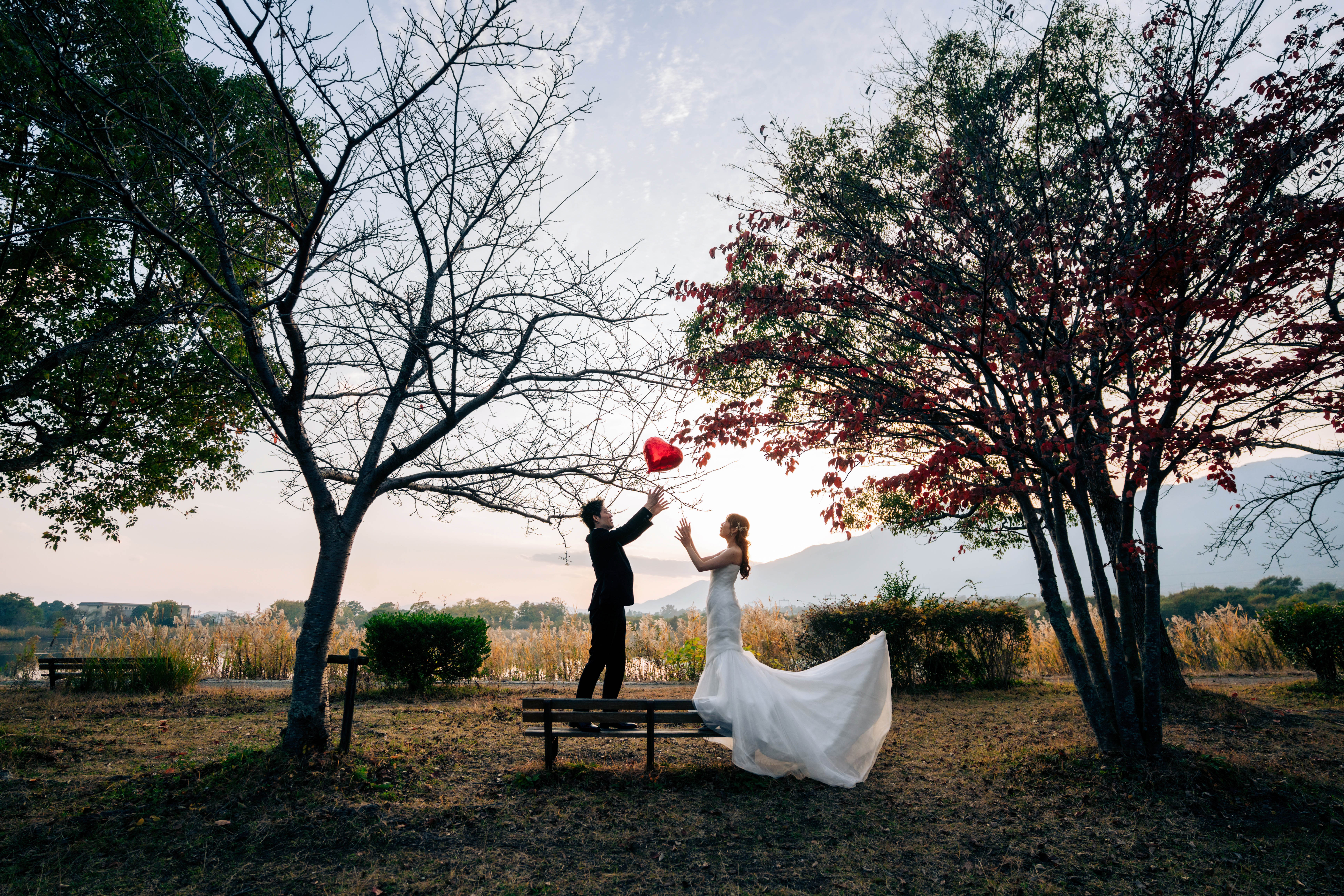 Point1 多彩な撮影シーン