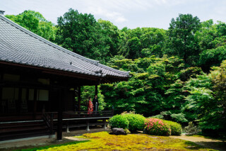 HERO group ヒーローグループ_【神社仏閣ロケーション】随心院