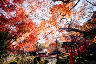 HERO group ヒーローグループ_【京都】大原野神社/神社仏閣
