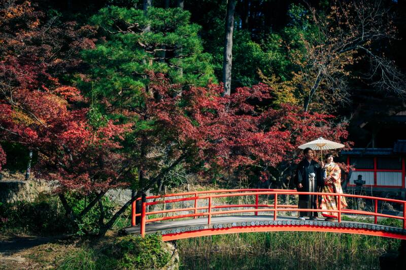 【アルバム付】大原野神社プラン+スタジオ撮影特典《魔法の美肌・細見えレタッチ付》200枚
