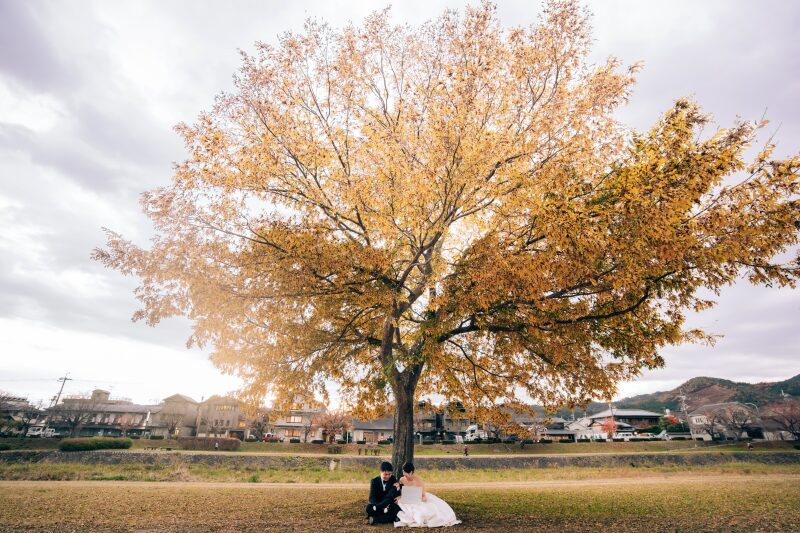 【映像プラン付】+京都和装/京都洋装2着ロケ3箇所プラン+スタジオ撮影特典《魔法の美肌・細見えレタッチ付》300枚