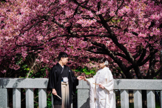 【早咲き桜狙い可能◎6周年限定】残り3組様限定-3/25迄の撮影お申込限定-和装１着ロケ１箇所プラン＋スタジオ撮影150枚