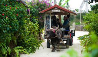 竹富島フォトツアー※お見積り