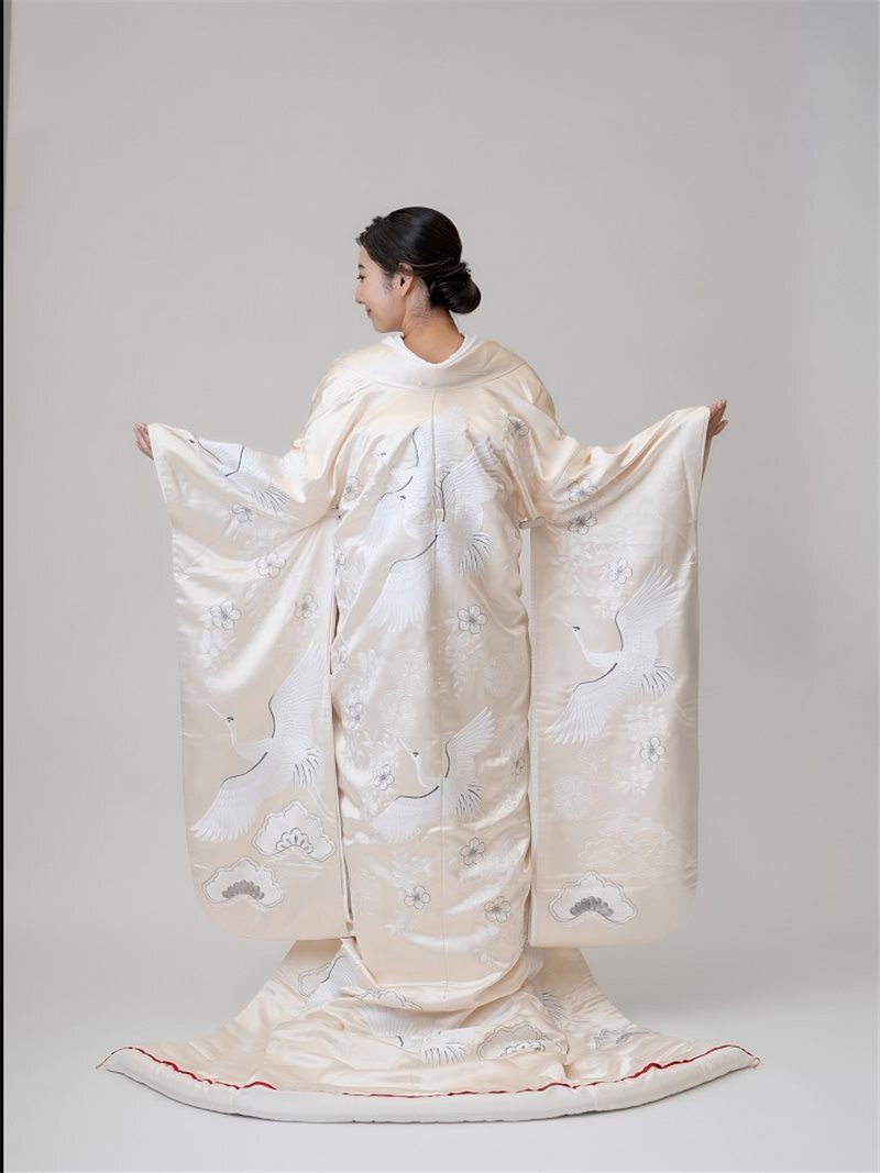 綾羽鶴（あやはかく）