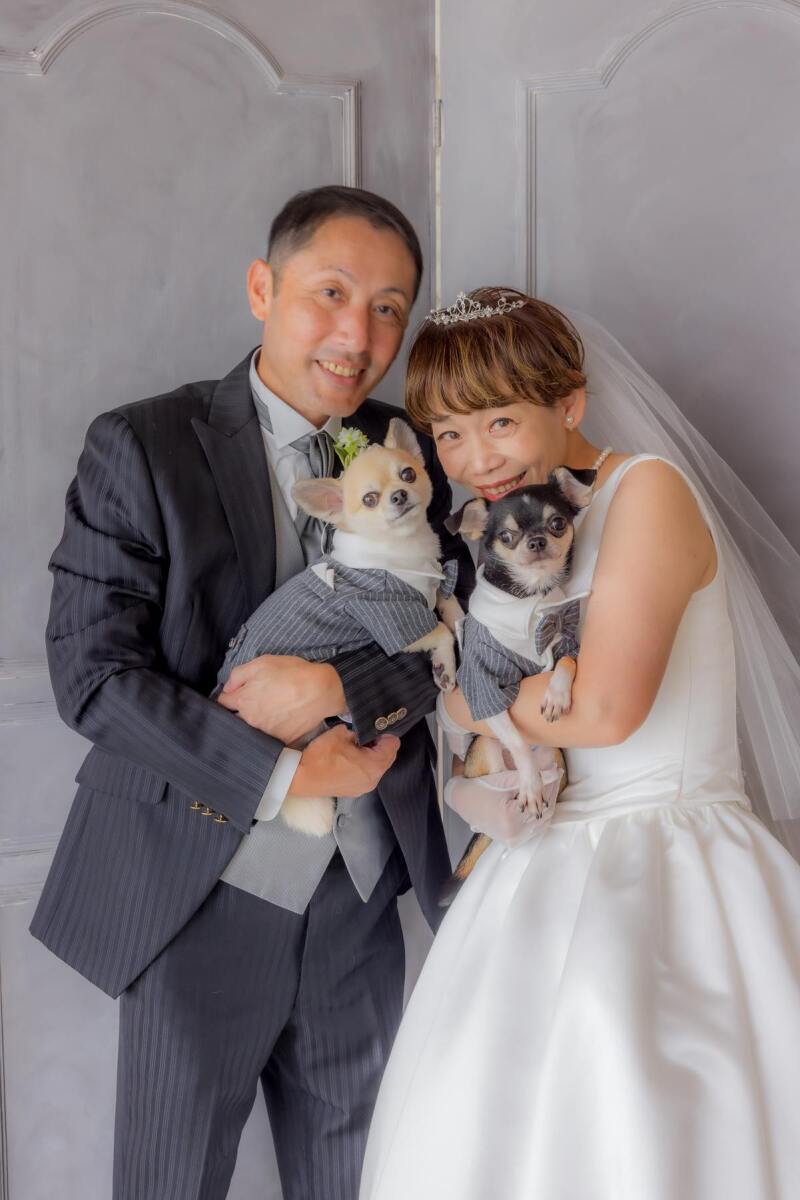 愛犬たちと宮崎スタジオで撮影♪