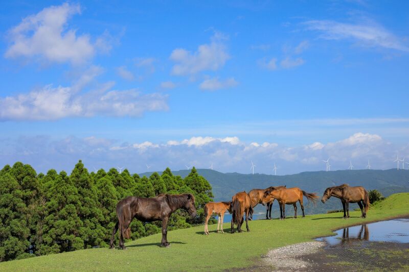 都井岬とは・・・