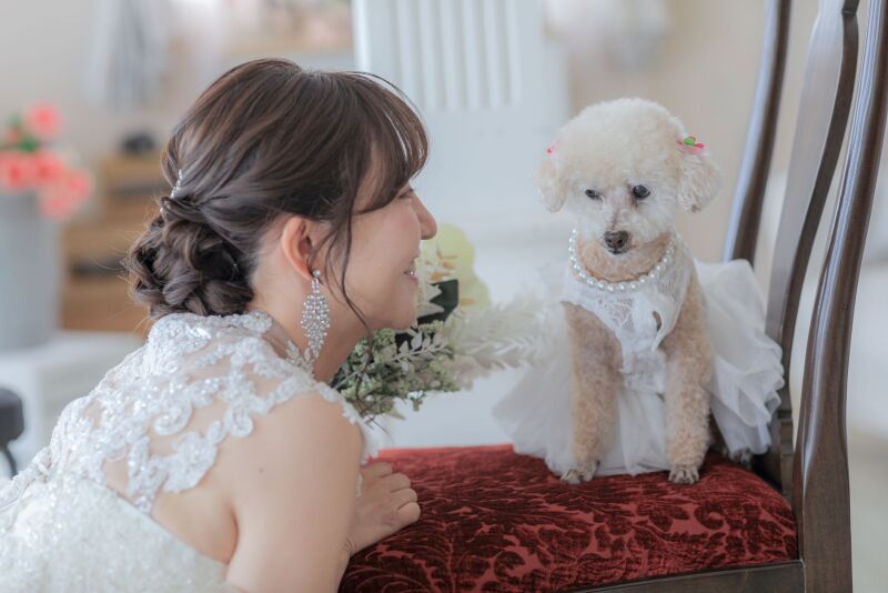 見つめるその先は…