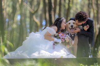 大好きな愛犬と