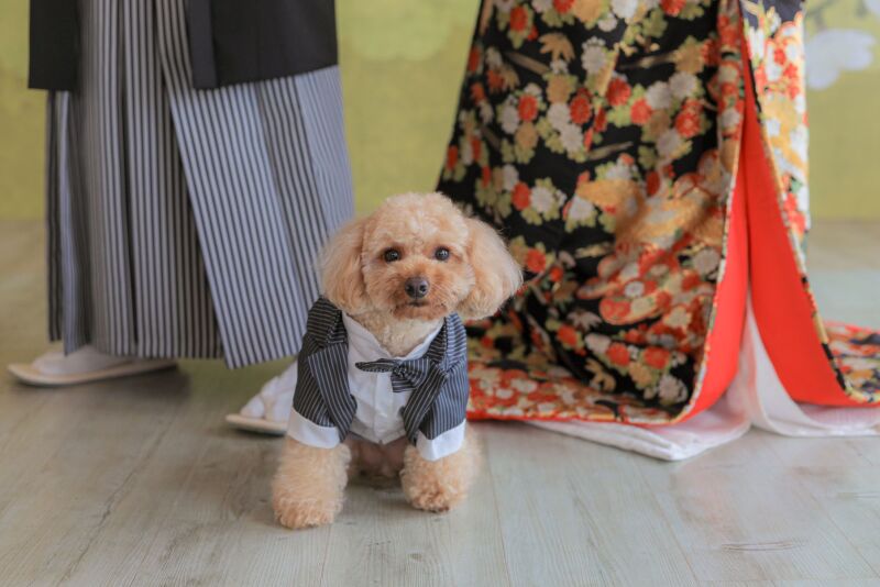 おめかしした愛犬と♡