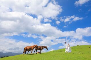 小さな結婚式 宮崎店_おすすめpickupフォト☆