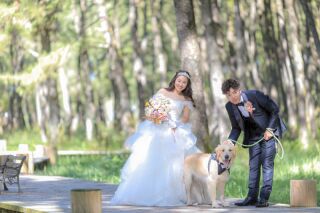 小さな結婚式 宮崎店_ロケーションフォト/英国式庭園&木漏れ陽ガーデン