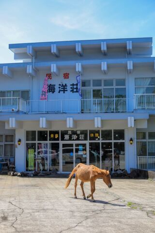 小さな結婚式 宮崎店_ロケーションフォト／都井岬