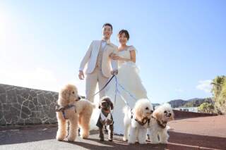 小さな結婚式 宮崎店