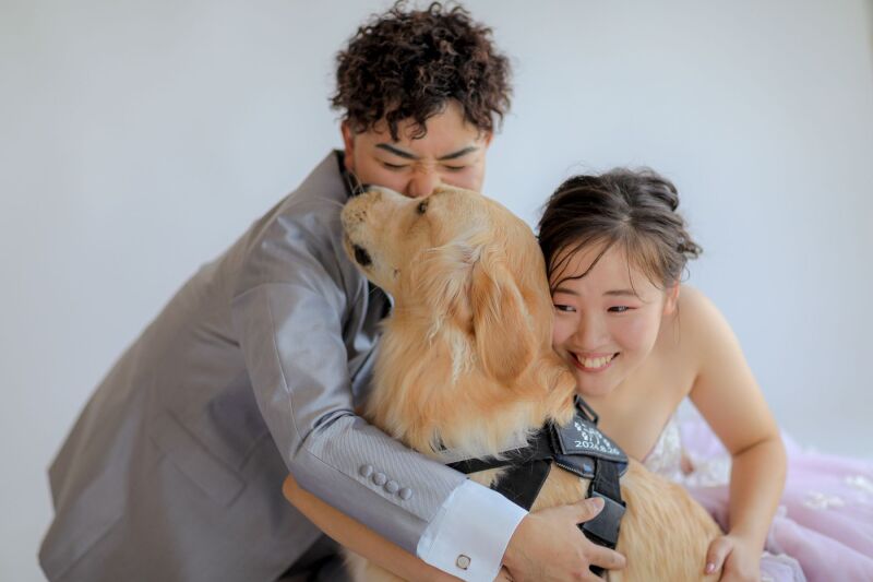 ♡ペットと撮影OK♡洋装1着_スタジオフォトプラン|全50データ付☆69,000円→34,500円