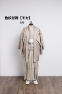 色紋付（モカ）