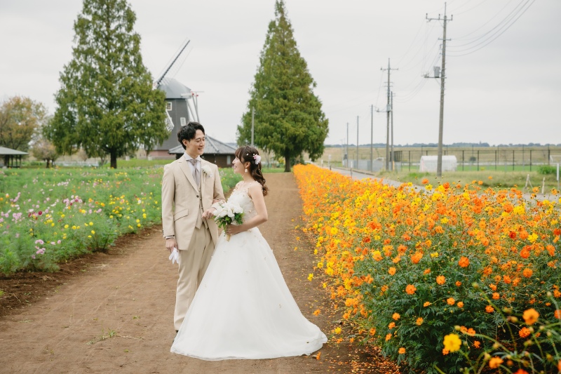 コスモスと一緒に*