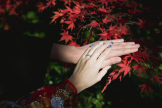 美肌補正（40カット）