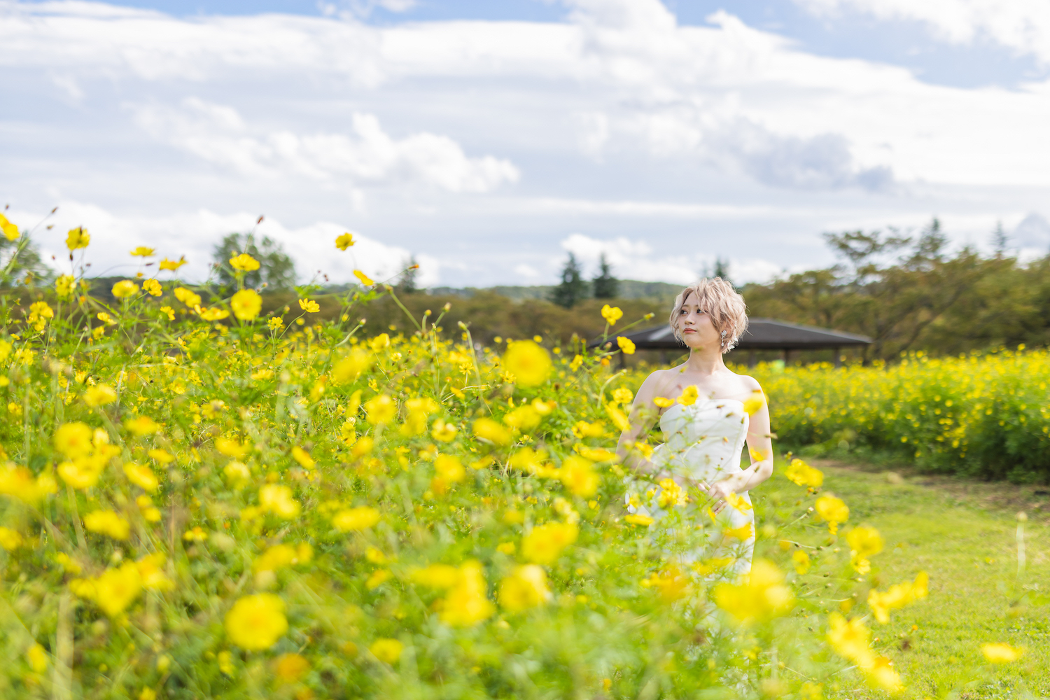 Point1 多彩な撮影シーン