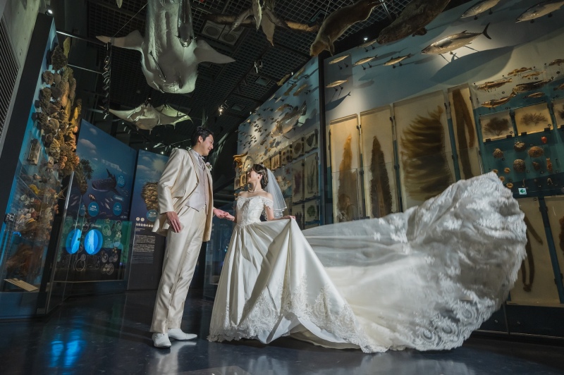 【科学博物館】撮影プラン◆新婦ヘアセット&メイク・ドレス&タキシード・1時間撮影・移動費・全データ付