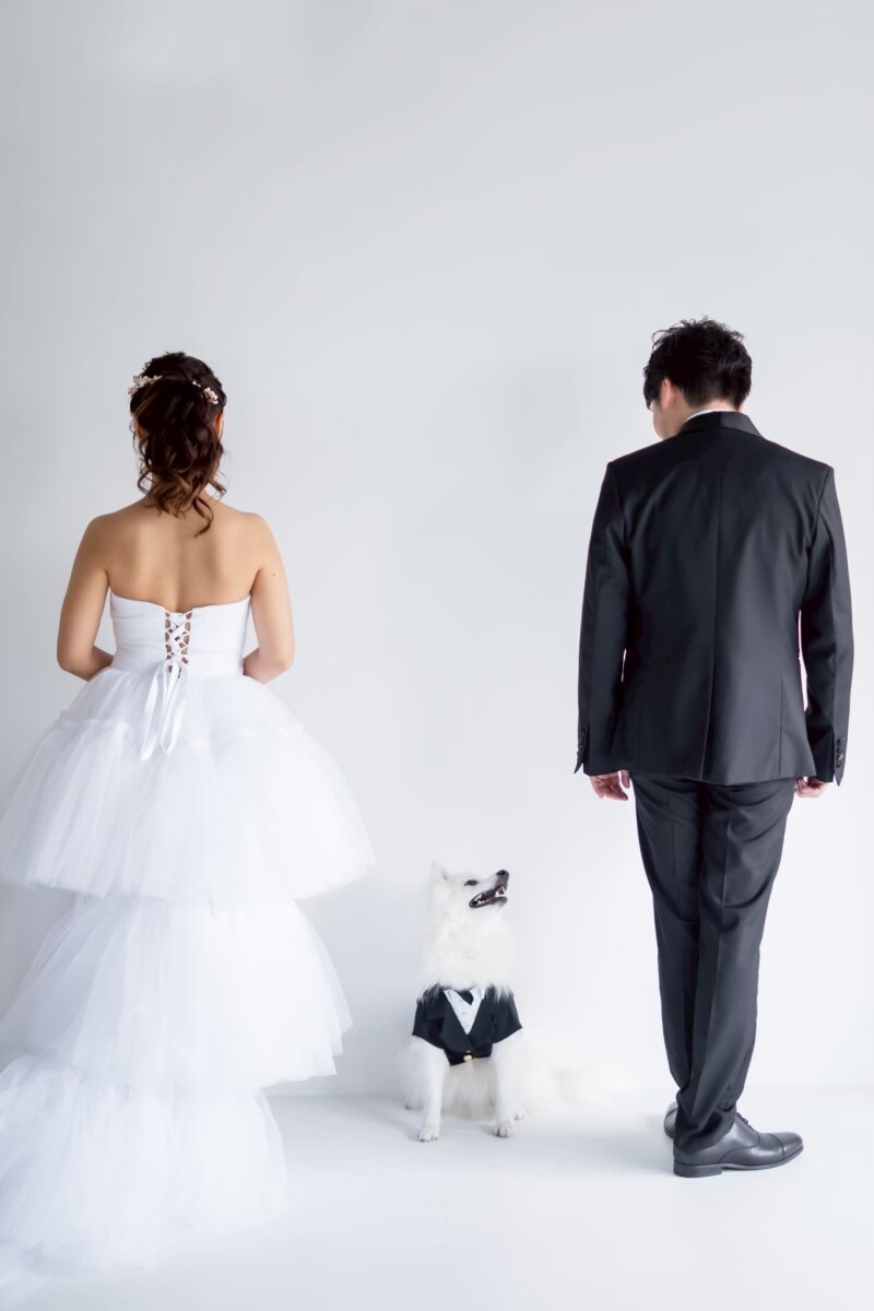 graph トーキョー_ペットと一緒に撮影できる