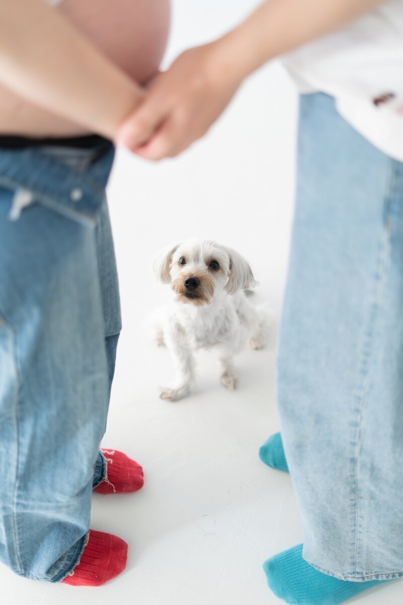 graph トーキョー_ペットと一緒に撮影できる