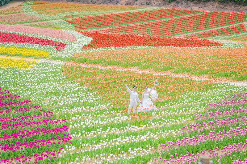 貸切チューリップ畑に到着♪