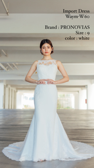 インポートドレス　W60