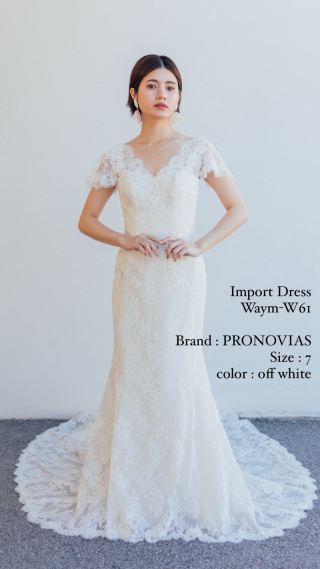 インポートドレス　W61