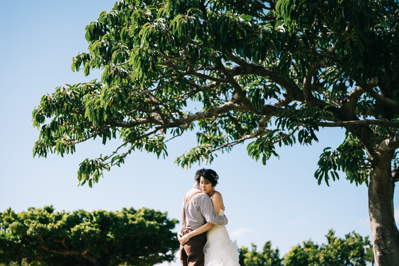 大きな木の下で