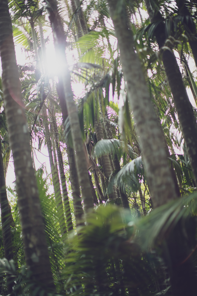 NOTE Art & Design_ガーデンで撮影できる