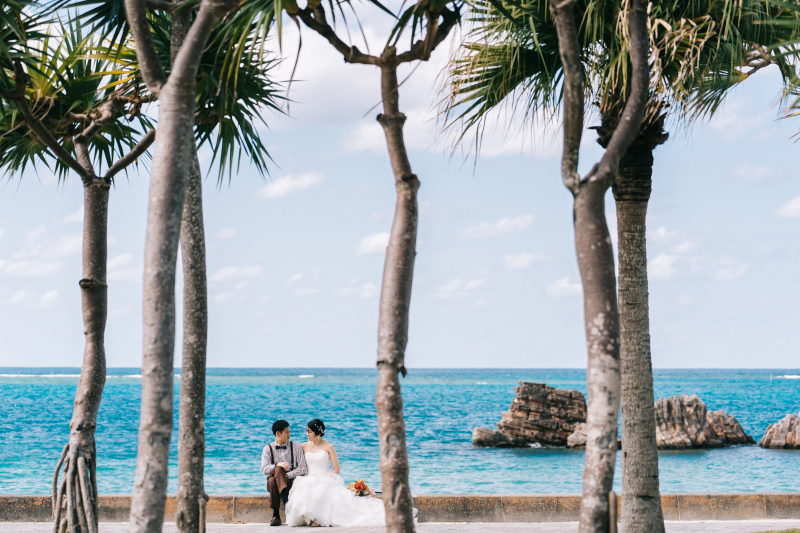 木を入れてより南国に