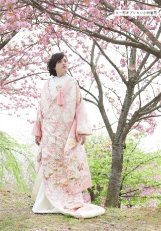 絢爛春の息吹(ﾋﾟﾝｸ) 