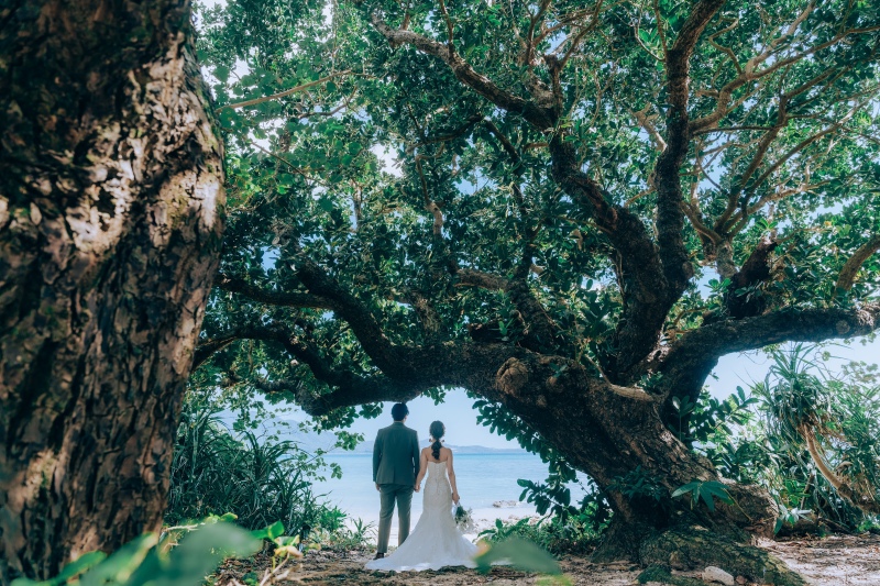 picmy(ピクミィ) by capryフォトウェディング_ガーデンで撮影できる