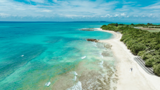 picmy(ピクミィ) by capryフォトウェディング