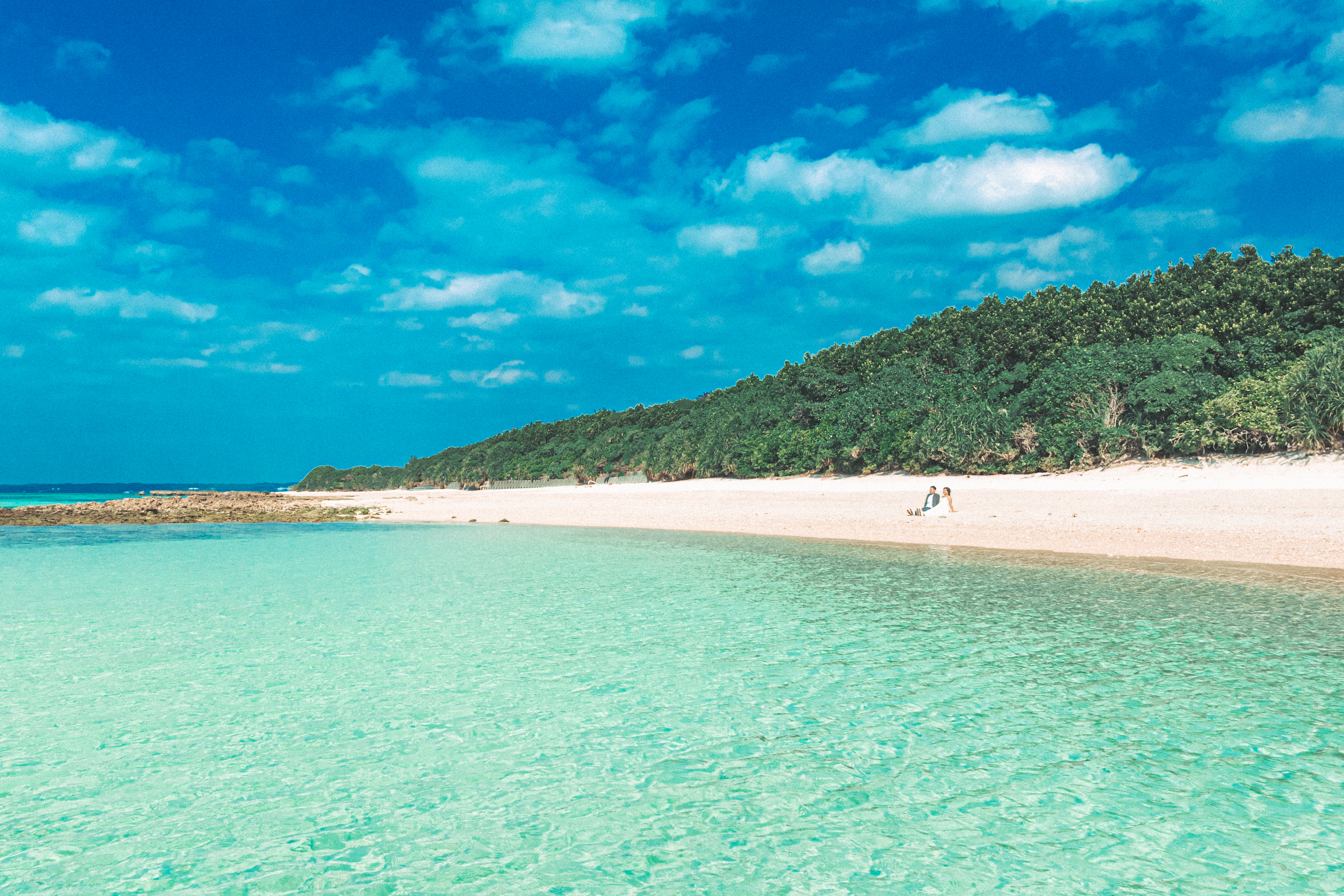 step1 事前来店・お問合せ