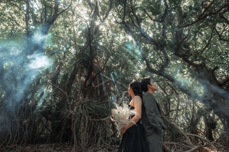 ◆◇南国感あふれる鮮やかなグリーン撮影も◇◆宮古島は海だけではありません!大自然も撮影できるスポットも沢山です◎ビーチ沿いには、まるで森に一歩足を踏み入れたような大自然スポットもあるのが宮古島の魅力