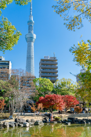 capryフォトウェディング東京（キャプリィフォトウェディング東京）_◇◆和装ストリート◆◇