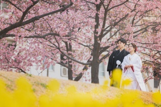 【3・4月撮影限定！桜スポット撮影✾】和装ロケーション撮影40カットプラン ◉お着付｜全データ納品｜ヘアメイク付き