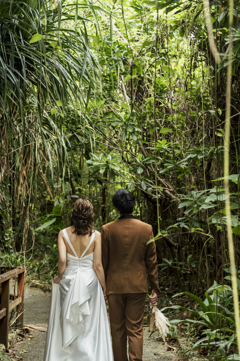 植物園で見るような植物いっぱい