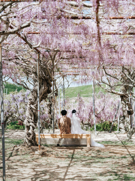 世羅高原ロケーションフォトプラン(洋装1点)