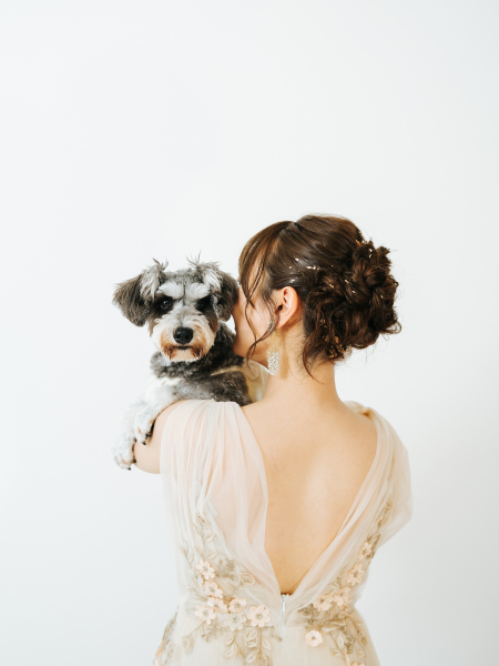 【シンプル背景のスタジオプラン】洋装1点