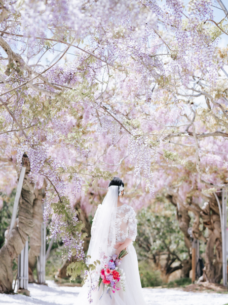 世羅高原ロケーションフォトプラン(洋装1点)