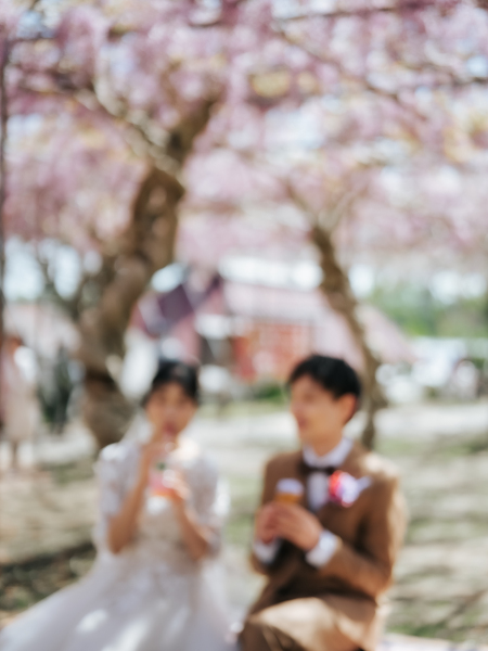 世羅高原ロケーションフォトプラン(洋装1点)