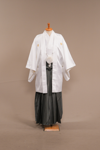 白藤白葵/黒銀袴